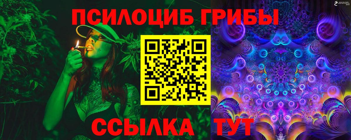 Сертолово  Галлюциногенные грибы Cubensis  Вход с VPN  Галлюциногенные грибы MAGIC MUSHROOMS 