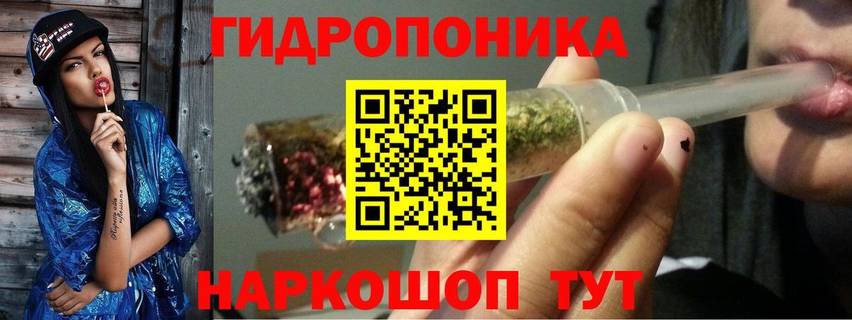 Каннабис OG Kush Сертолово